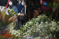 Hà Nội: Thanh niên đi cầu duyên, bái vọng ở chùa Hà trong ngày Phụ nữ Việt Nam