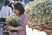 Xao xuyến hình ảnh thiếu nữ Hà Thành bên cúc họa mi gọi Đông về trên phố