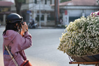 Xao xuyến hình ảnh thiếu nữ Hà Thành bên cúc họa mi gọi Đông về trên phố