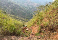 Xe ô tô con lao xuống vách núi bẹp rúm, cả gia đình thoát chết thần kỳ