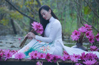 Ngỡ ngàng với cảnh đẹp như tranh của suối Yến chùa Hương mùa hoa súng tháng 11