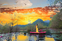 Ngỡ ngàng với cảnh đẹp như tranh của suối Yến chùa Hương mùa hoa súng tháng 11