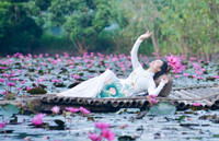 Ngỡ ngàng với cảnh đẹp như tranh của suối Yến chùa Hương mùa hoa súng tháng 11