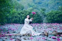 Ngỡ ngàng với cảnh đẹp như tranh của suối Yến chùa Hương mùa hoa súng tháng 11