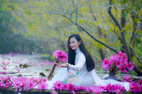 Ngỡ ngàng với cảnh đẹp như tranh của suối Yến chùa Hương mùa hoa súng tháng 11