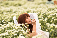 Ngắm thiếu nữ Hà Nội đẹp mơ màng trên cánh đồng cúc họa mi ven sông Hồng