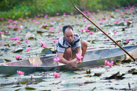 Ngỡ ngàng với cảnh đẹp như tranh của suối Yến chùa Hương mùa hoa súng tháng 11