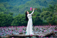 Ngỡ ngàng với cảnh đẹp như tranh của suối Yến chùa Hương mùa hoa súng tháng 11