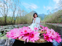 Ngỡ ngàng với cảnh đẹp như tranh của suối Yến chùa Hương mùa hoa súng tháng 11