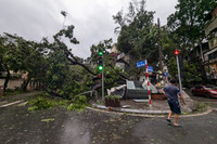 Hình ảnh về sự tàn phá khủng khiếp của cơn bão số 3 ở Hà Nội