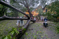 Hình ảnh về sự tàn phá khủng khiếp của cơn bão số 3 ở Hà Nội