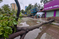 Hình ảnh về sự tàn phá khủng khiếp của cơn bão số 3 ở Hà Nội