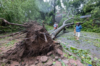 Hình ảnh về sự tàn phá khủng khiếp của cơn bão số 3 ở Hà Nội