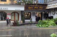 Hình ảnh về sự tàn phá khủng khiếp của cơn bão số 3 ở Hà Nội