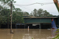 Ảnh: Người Hà Nội bất ngờ khi nước sông Hồng lên nhanh, tràn vào khu dân cư