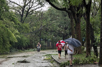 Hình ảnh về sự tàn phá khủng khiếp của cơn bão số 3 ở Hà Nội