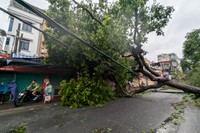 Hình ảnh về sự tàn phá khủng khiếp của cơn bão số 3 ở Hà Nội