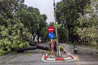 Hình ảnh về sự tàn phá khủng khiếp của cơn bão số 3 ở Hà Nội