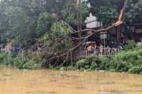 Ảnh: Người Hà Nội bất ngờ khi nước sông Hồng lên nhanh, tràn vào khu dân cư