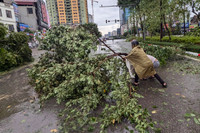 Hình ảnh về sự tàn phá khủng khiếp của cơn bão số 3 ở Hà Nội