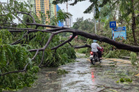 Hình ảnh về sự tàn phá khủng khiếp của cơn bão số 3 ở Hà Nội