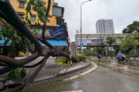 Hình ảnh về sự tàn phá khủng khiếp của cơn bão số 3 ở Hà Nội