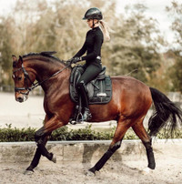 [ẢNH] Cô vợ xinh đẹp của sao Dortmund dấn thân vào làng đua ngựa