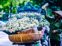 Có một loài hoa đặc biệt gây thương nhớ lúc chớm đông Hà Nội...