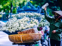 Có một loài hoa đặc biệt gây thương nhớ lúc chớm đông Hà Nội...