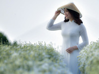 Có một loài hoa đặc biệt gây thương nhớ lúc chớm đông Hà Nội...