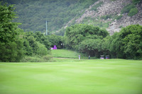 Sân golf Vinpearl đẹp như một kiệt tác giữa Nha Trang