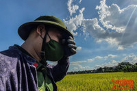 [Ảnh] Công an Thủ đô đội nắng, thâu đêm cứu lúa giúp nông dân trong khu phong tỏa