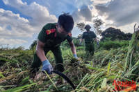 [Ảnh] Công an Thủ đô đội nắng, thâu đêm cứu lúa giúp nông dân trong khu phong tỏa