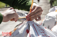 [Ảnh] Công an Thủ đô đội nắng, thâu đêm cứu lúa giúp nông dân trong khu phong tỏa