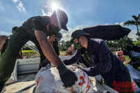 [Ảnh] Công an Thủ đô đội nắng, thâu đêm cứu lúa giúp nông dân trong khu phong tỏa