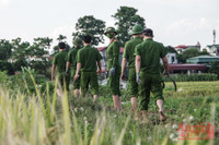 [Ảnh] Công an Thủ đô đội nắng, thâu đêm cứu lúa giúp nông dân trong khu phong tỏa