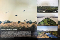 Tận mắt xem giải Nhất phương án thiết kế cầu Thượng Cát độc đáo ở Hà Nội