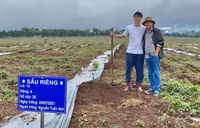 [ẢNH] Không thi đấu, Công Phượng, Xuân Trường tất bật đi... trồng sầu riêng
