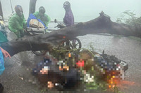 Hà Nội: Cây đổ la liệt, nhiều xe ô tô bị đè bẹp sau cơn giông mạnh