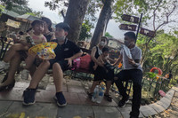 Hà Nội: Chen chân đi chơi công viên Thủ Lệ, trẻ em mệt mỏi vì nắng nóng