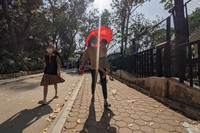 Hà Nội: Chen chân đi chơi công viên Thủ Lệ, trẻ em mệt mỏi vì nắng nóng