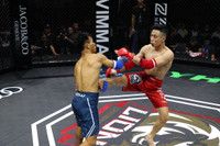 Những đòn đánh MMA hóc hiểm ở Lion Championship 2023