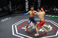 Những đòn đánh MMA hóc hiểm ở Lion Championship 2023
