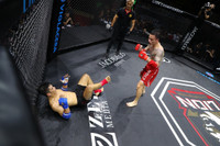 Những đòn đánh MMA hóc hiểm ở Lion Championship 2023