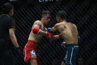 Những đòn đánh MMA hóc hiểm ở Lion Championship 2023
