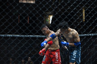 Những đòn đánh MMA hóc hiểm ở Lion Championship 2023