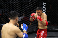 Những đòn đánh MMA hóc hiểm ở Lion Championship 2023