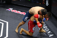 Những đòn đánh MMA hóc hiểm ở Lion Championship 2023