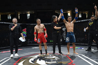 Những đòn đánh MMA hóc hiểm ở Lion Championship 2023