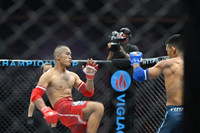 Những đòn đánh MMA hóc hiểm ở Lion Championship 2023